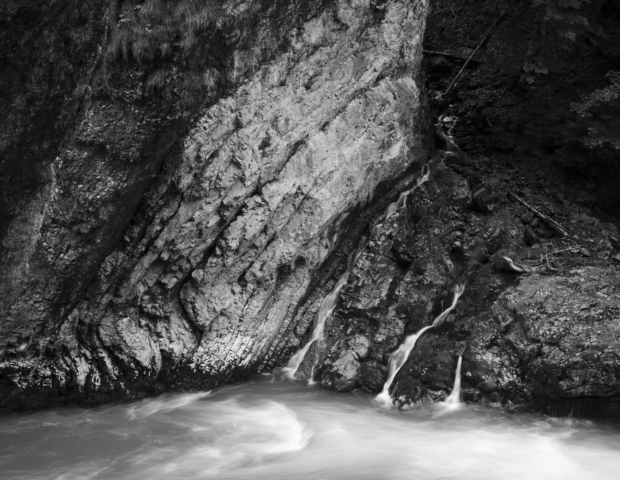 Norbert Rosing: My Wilderness