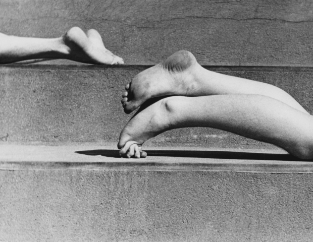 Fred Stein: City. Life. Portrait